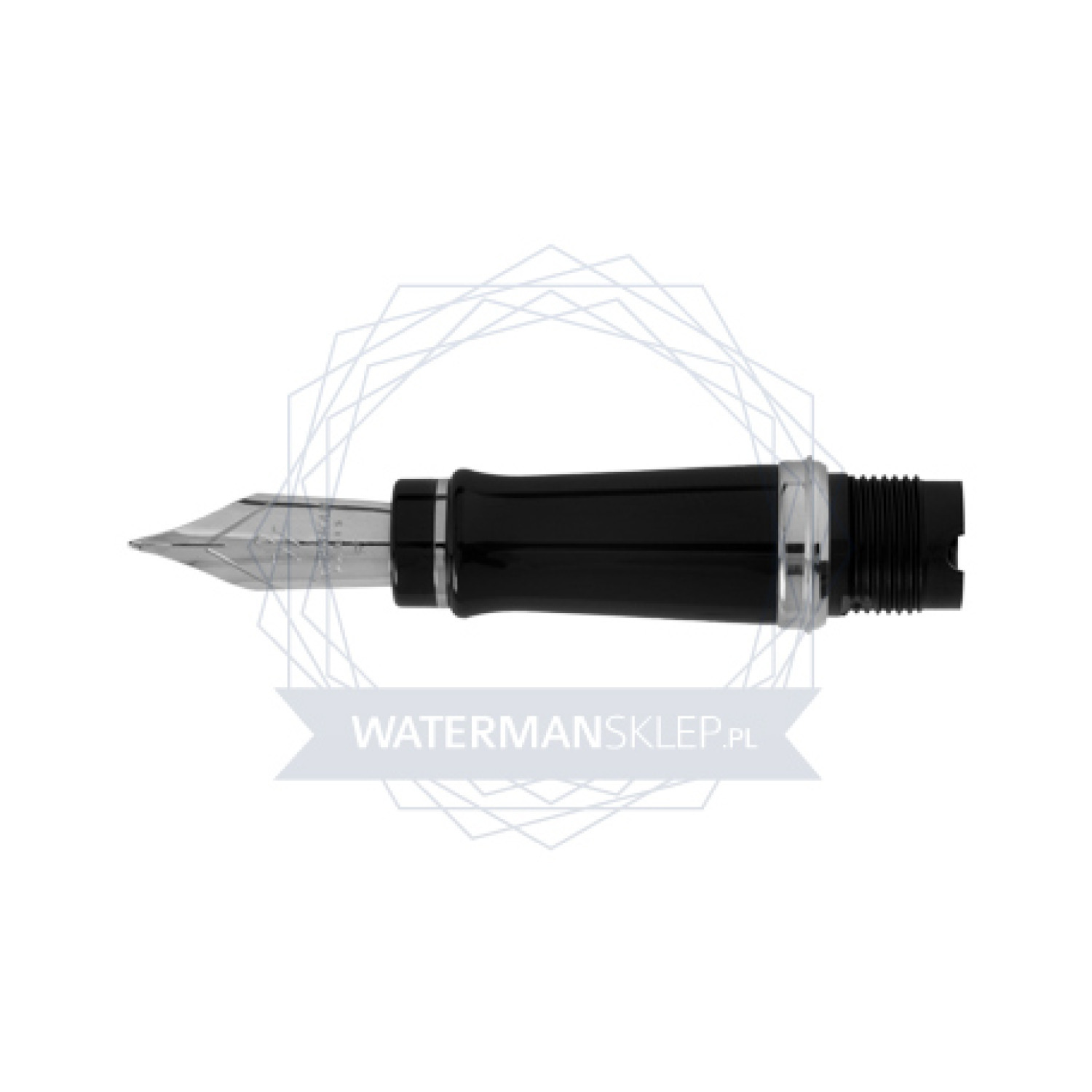 Parte anteriore Penna Stilografica Waterman Expert CT nib "F"
