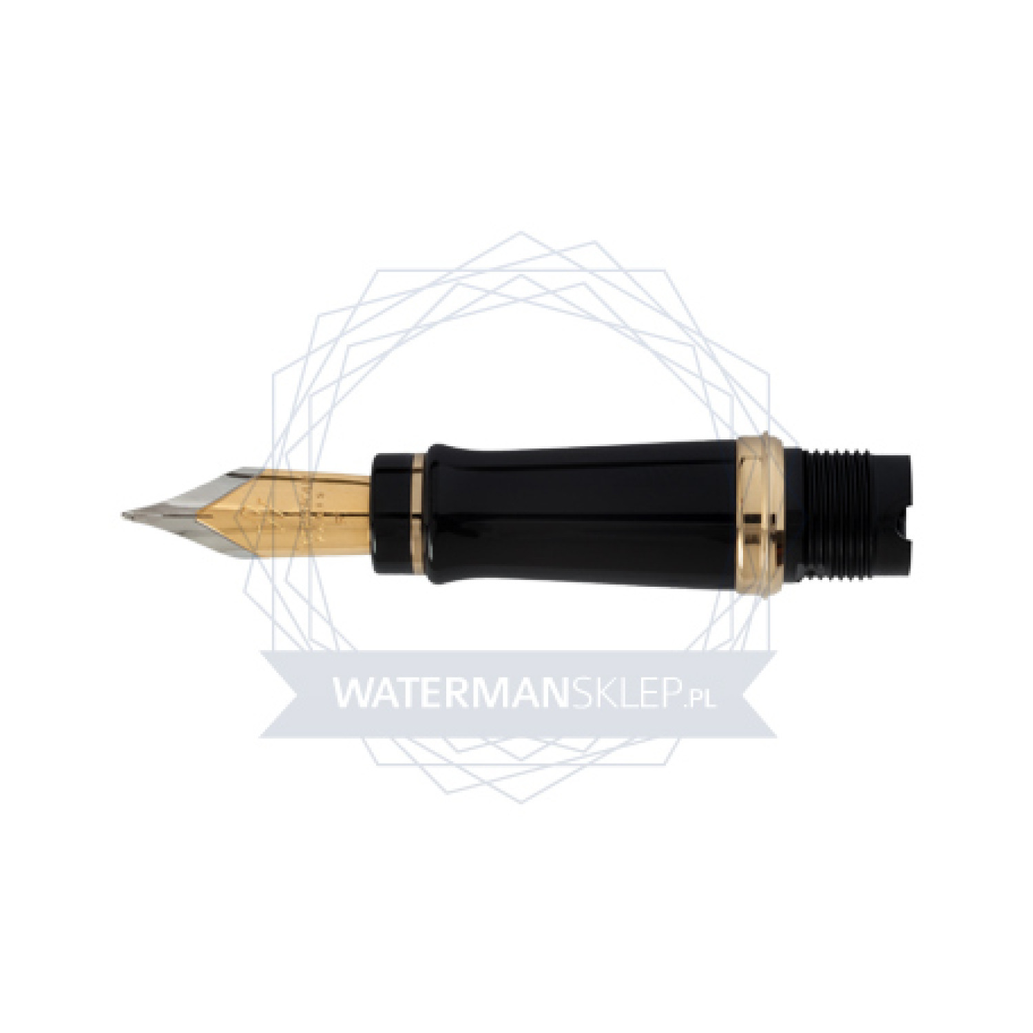 Parte anteriore Penna Stilografica Waterman Expert GT nib "EF"