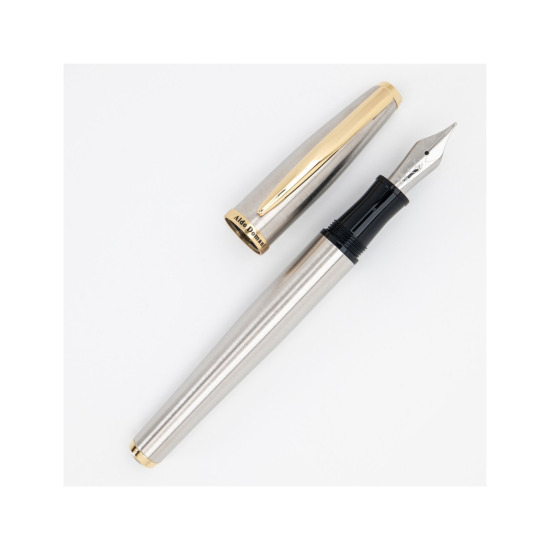 Monteverde Aldo Domani Chrome Fountain Pen