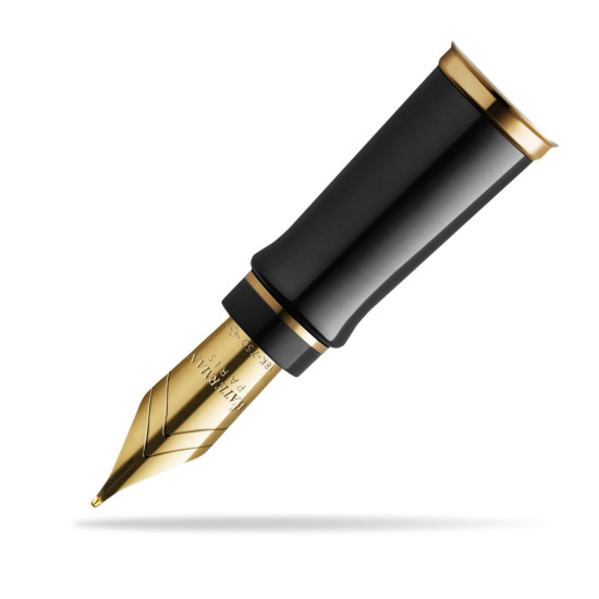 Expert GT 18k Nib - type EF