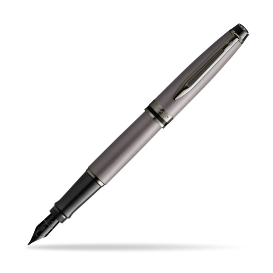 Waterman Expert Metalic Silver CT Penna Stilografica