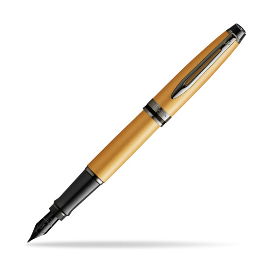 Waterman Expert Metalic Gold Penna Stilografica