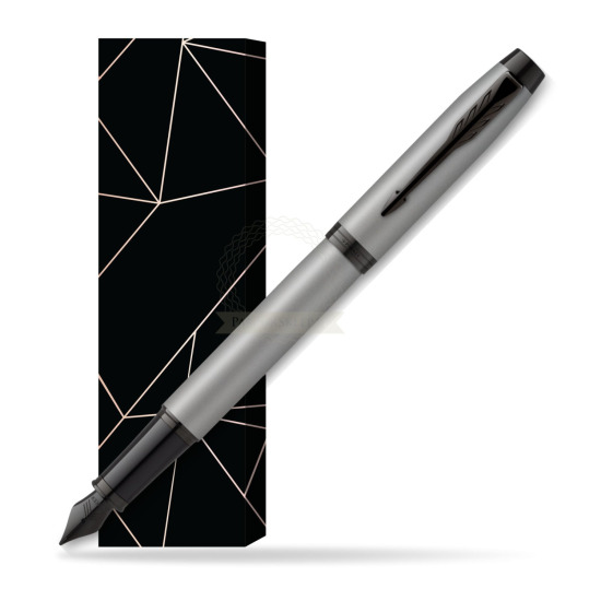 IM Achromatic Gray Fountain Pen in cover Lucky