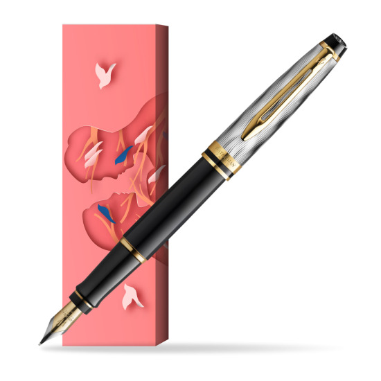 Waterman EXPERT REFLETS DE PARIS Fountain pen in cover Magic Moments