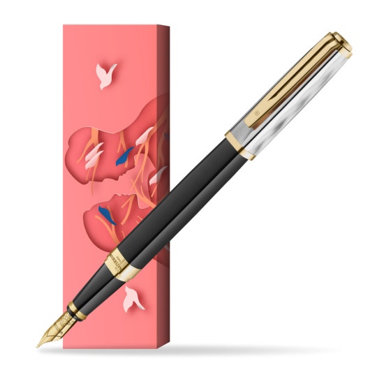 Waterman EXCEPTION REFLETS DE PARIS Fountain pen in cover Magic Moments