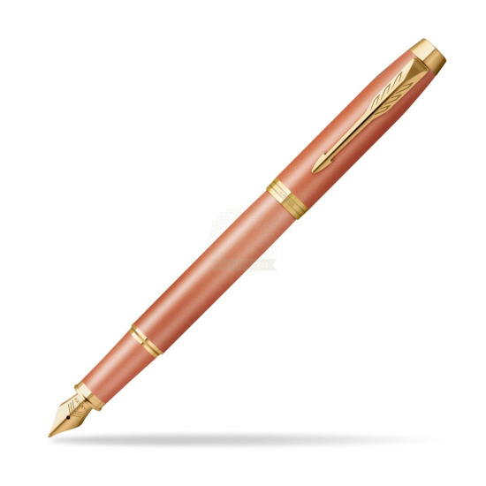 Fountain pen IM RITUALS ORANGE GT 