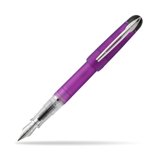 Waterman Kultur Assortis Plume CT Penna Stilografica