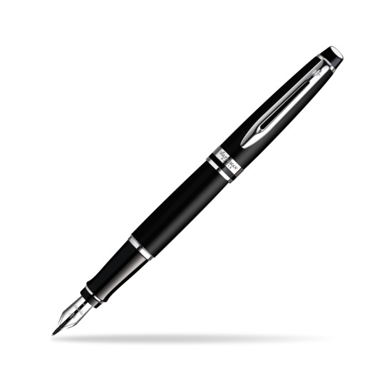 Waterman Expert Matt Black CT Fountain Pen