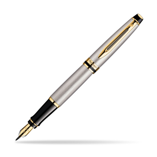 Waterman Expert Stainless Steel GT Fountain pen