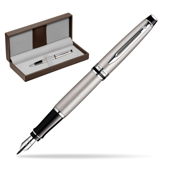 Waterman Expert Stainless Steel CT Fountain pen in the brown leather box