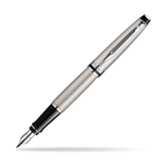 Waterman Expert Stainless Steel CT Fountain pen