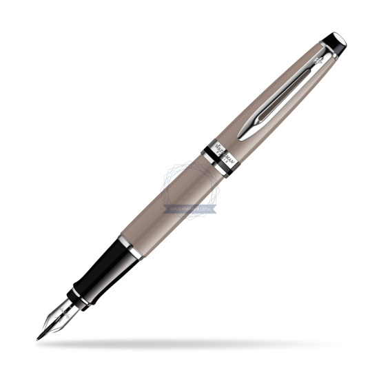 Waterman Expert Taupe CT Fountain pen